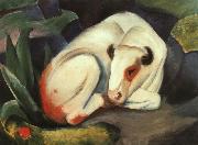 Franz Marc The Bull china oil painting artist
